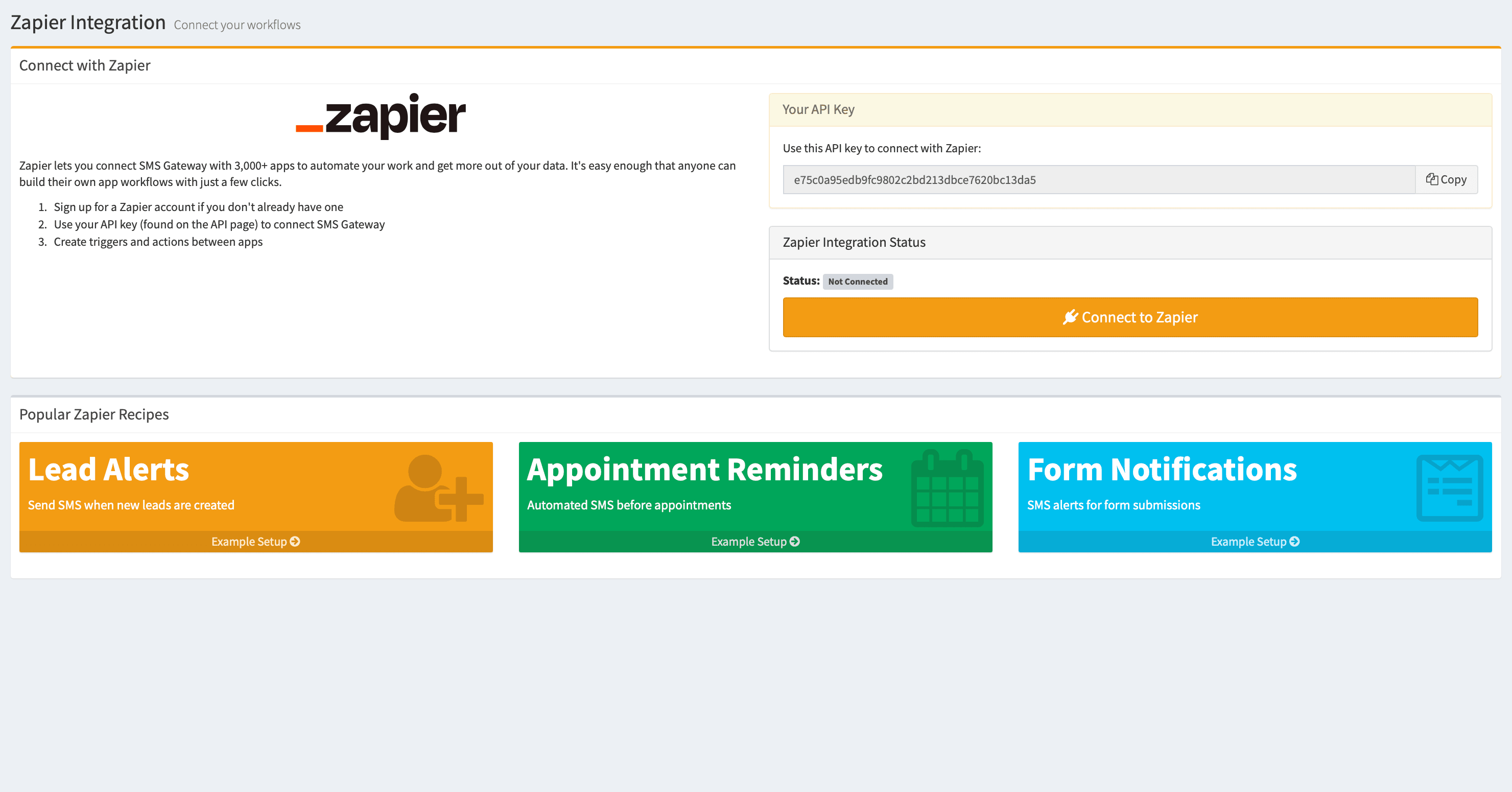 Copy your API key — screenshot